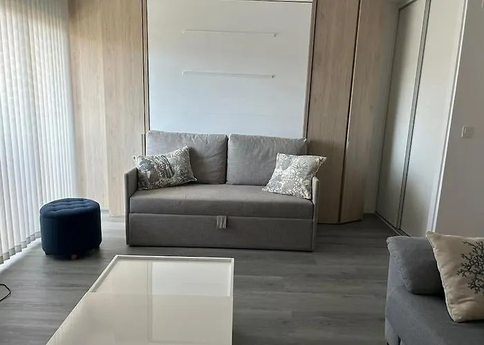 Penthouse Apartment